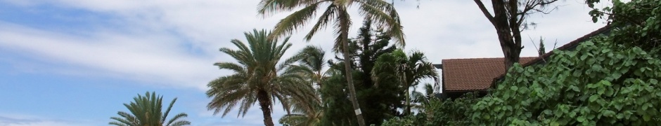 Oahu Beach Nature Landscapes